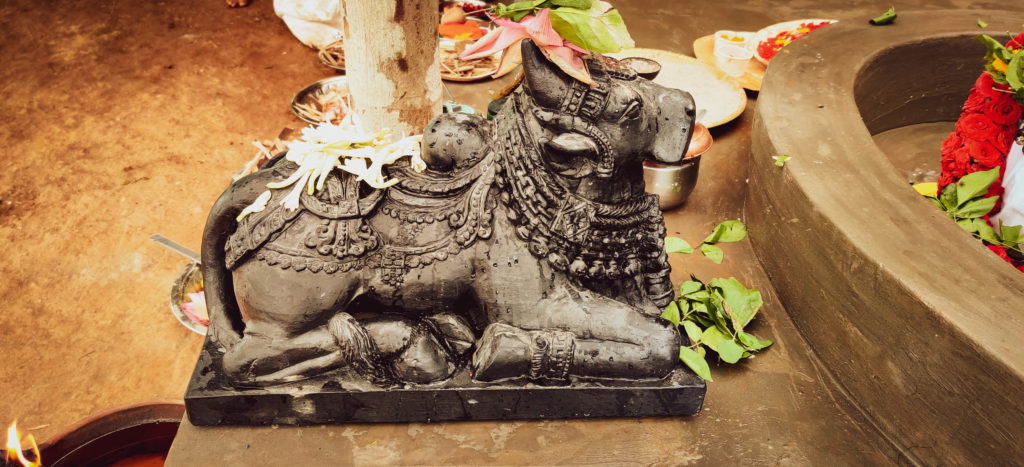 Image gallery image